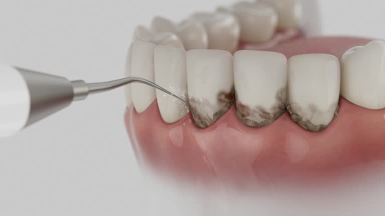Reliable Dental contractor in Salisbury, MD by Dentist Open Now